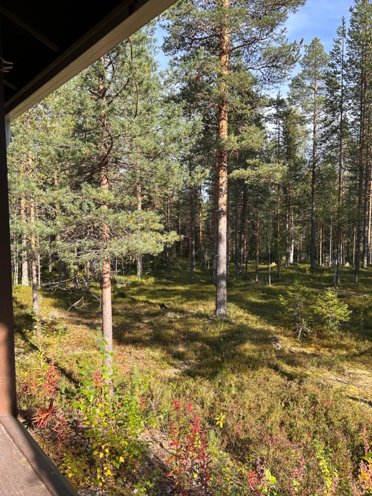 Unelmasaeleikkoe 2 Kittilä Kültér fotó